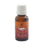 Manfaat Minyak Bulus SR12 Untuk Mengatasi Stretch Mark